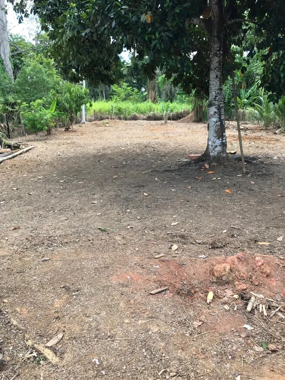 TERRENO MURADO E COM BASE DE 110m2 PARA CASA/GALPÃO À VENDA - PEROBAS - Foto 3