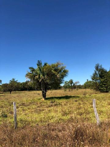 Fazenda - Paraíso do Tocantins/TO - Foto 8