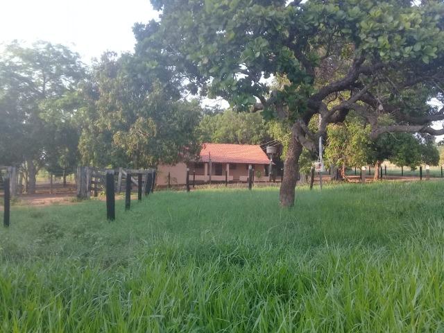 Fazenda - Paraíso do Tocantins/TO