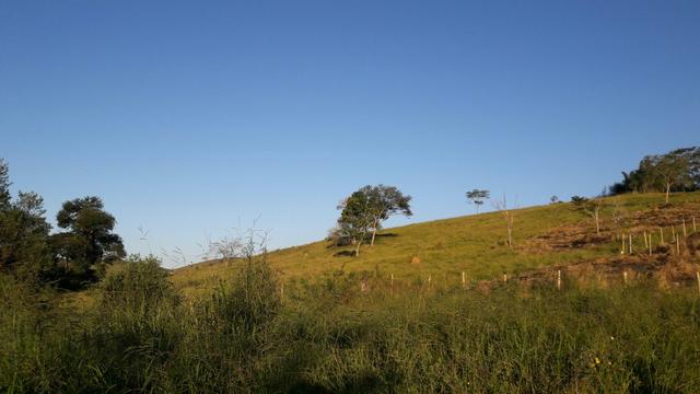 GRAMA - Residencial São Luiz (Kátia Corretora) - Foto 4