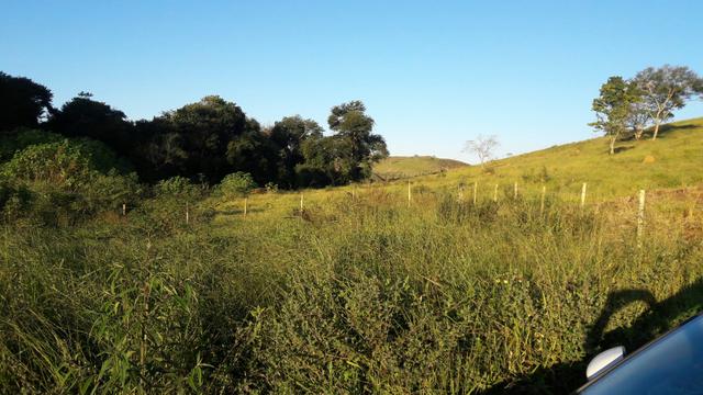 GRAMA - Residencial São Luiz (Kátia Corretora) - Foto 3
