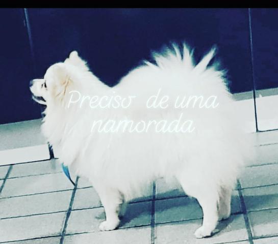 Preciso de uma namorada * - Foto 2