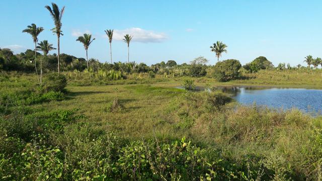 Vendo terreno com propriedade de 200m - Foto 2