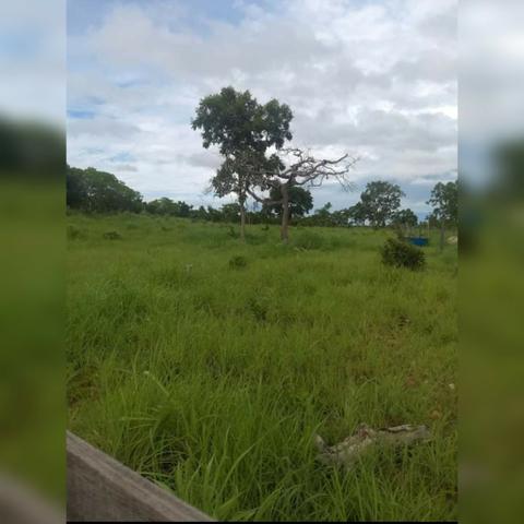 Sítio com área de 15,5hectares , Região da guia