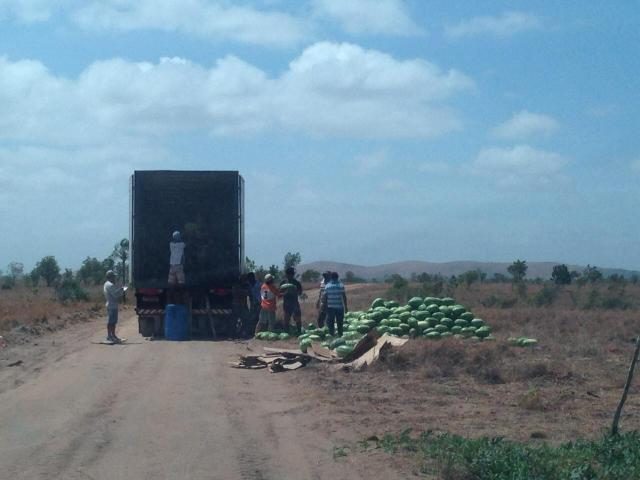 Fazenda no Bonfim - Foto 5