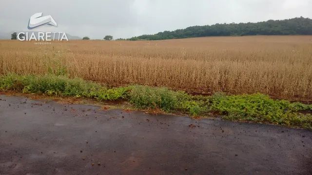 Rural à venda,  Linha São Jorge, ZONA RURAL, SANTA HELENA - PR - Foto 4