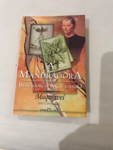 Livro infanto-juvenil 