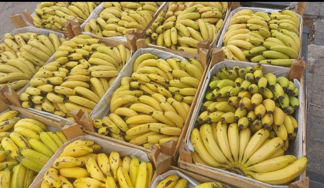 Banana Nanica e Prata - Foto 5