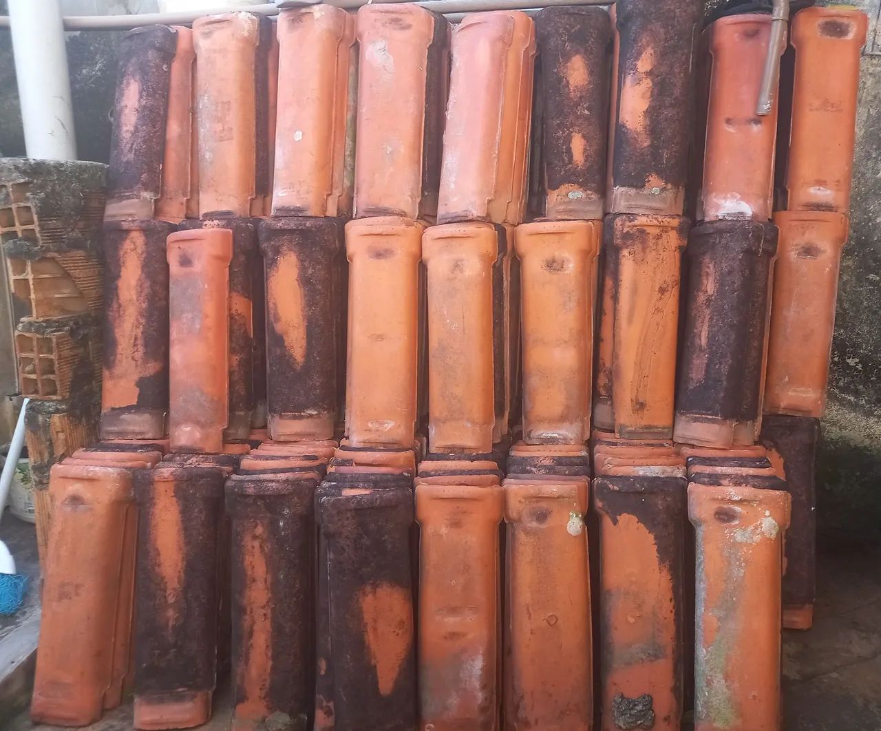 Vende-se um milheiro  de telha. - Foto 2