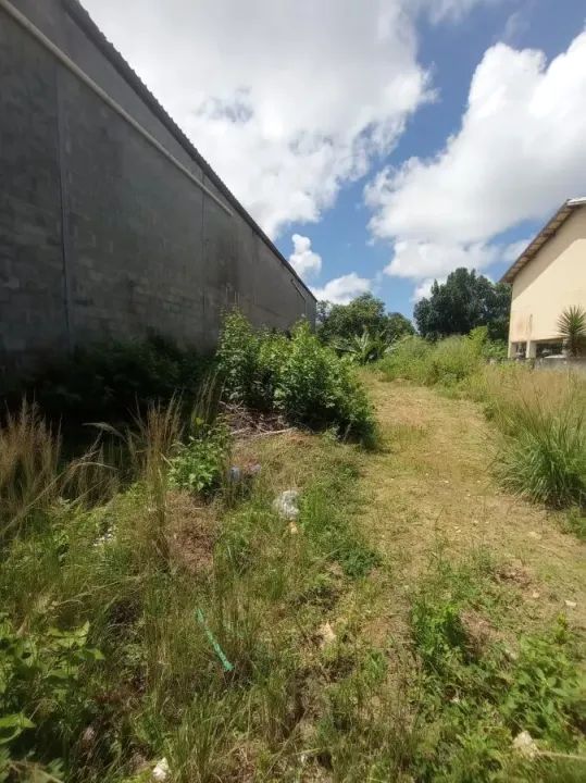 Terreno Urbano para Venda em Salvador, Nova Brasília - Foto 3