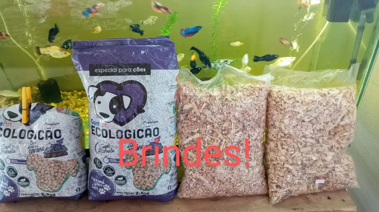 Gaiola para Roedores - Foto 4