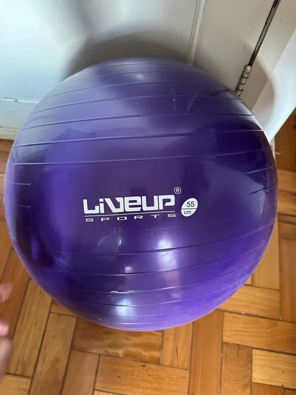 Bola de pilates liveup 55cm