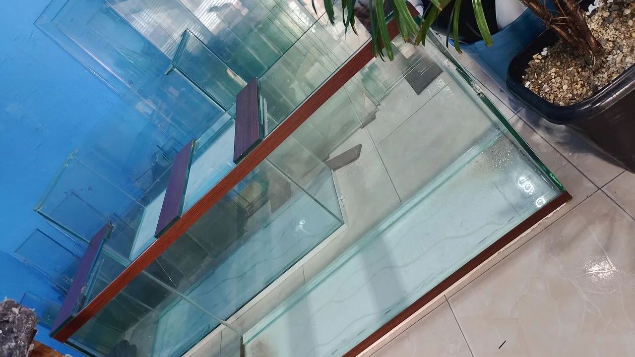 Aquário 275 litros 