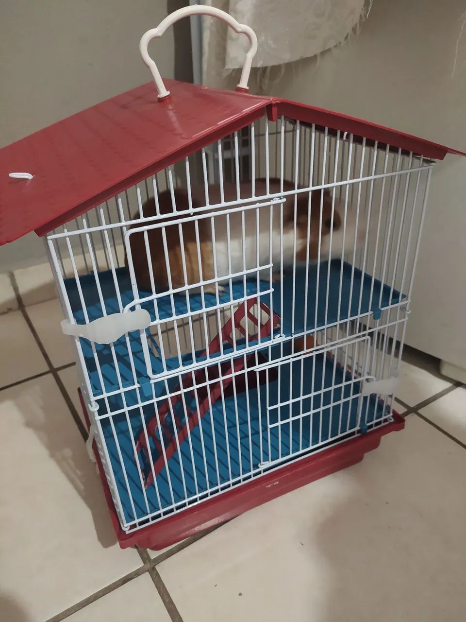 gaiola hamster  - Foto 2