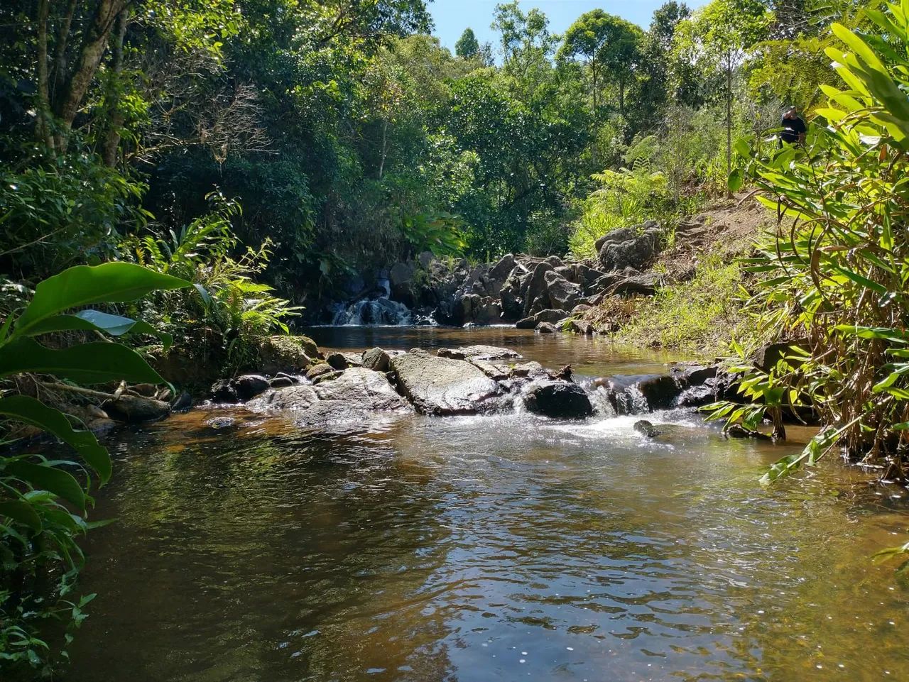 Terreno à venda em Fazenda rio das garças - Foto 2