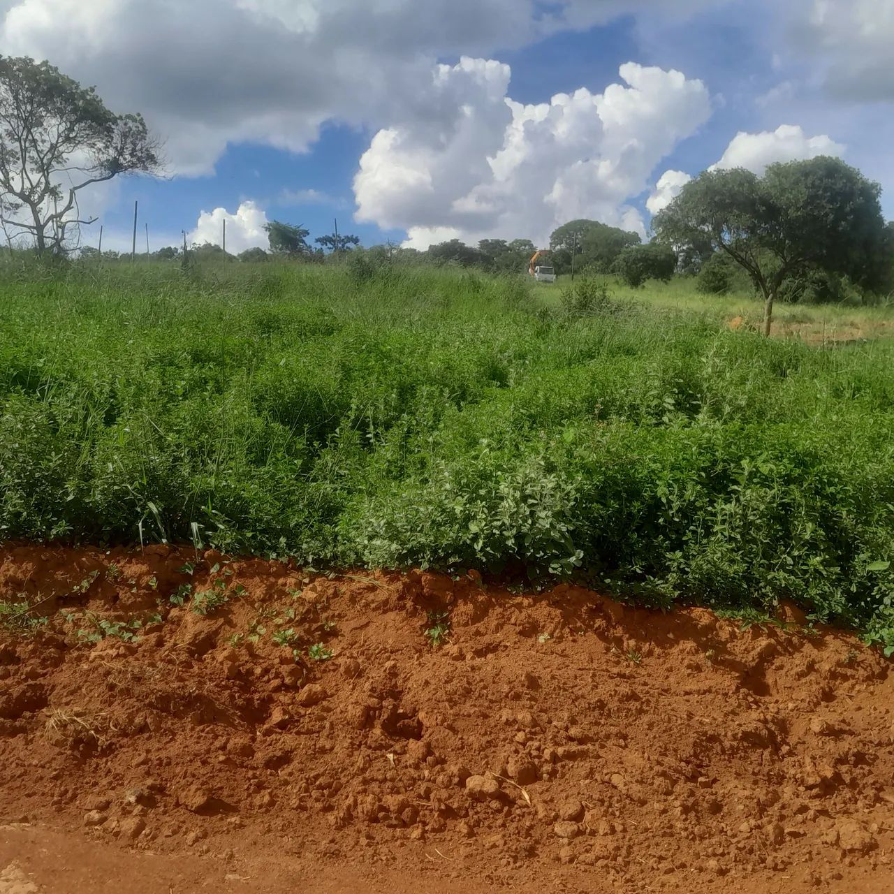 Terreno com área verde em região tranquila - Foto 6