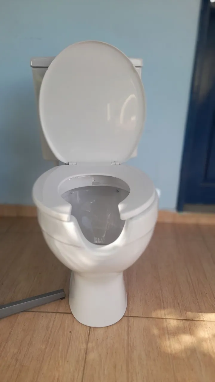 Vaso Sanitário Adaptado - Conforto e Acessibilidade