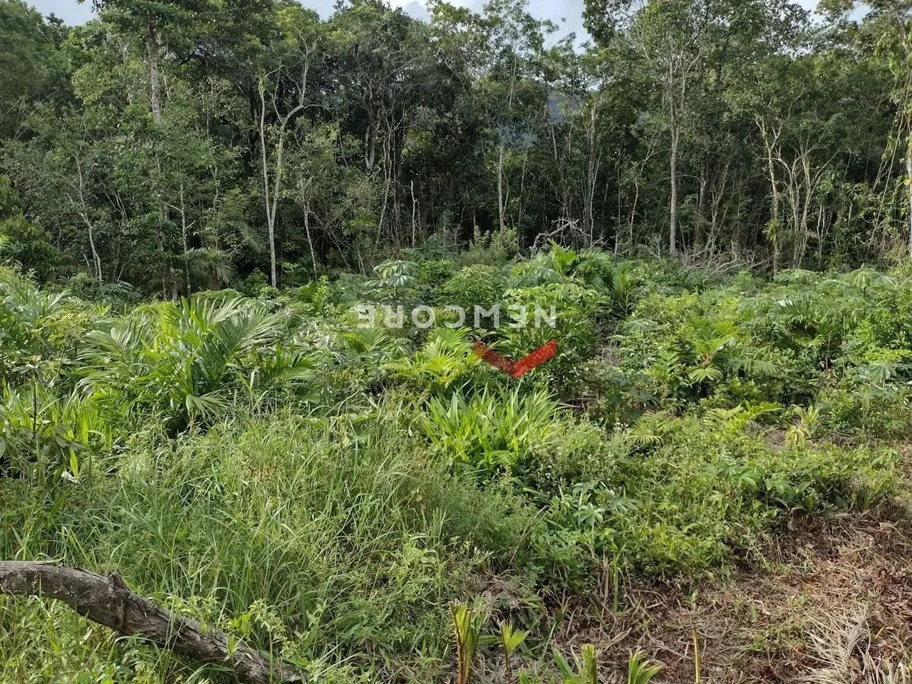 Lote em Avenida Maria Helena quadra 05, parte 1 - Vila Loty - Itanhaém/SP - Foto 3