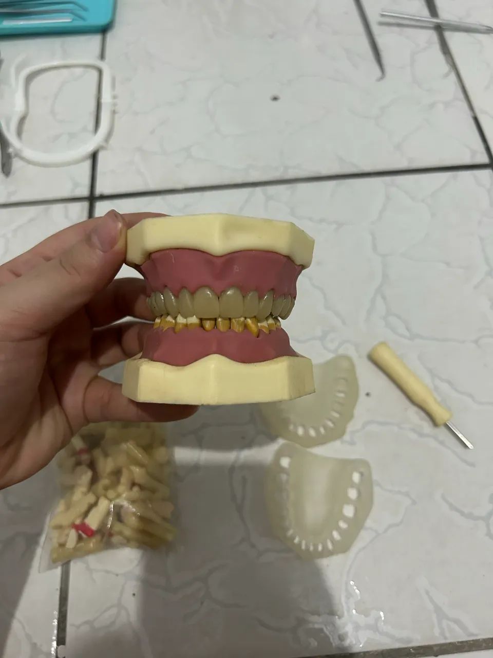 Manequim odontológico  - Foto 4