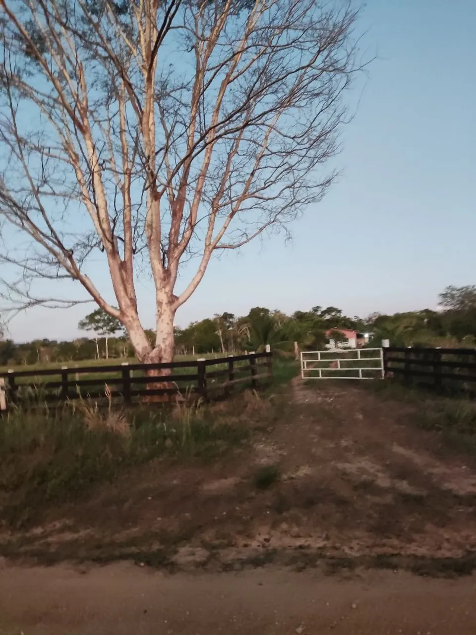 Aluga-se chacara para empresas no periudo do rondonia rural show