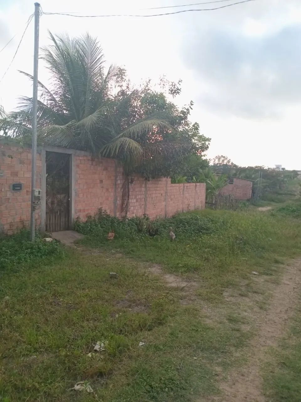 Foto - São Luís - Cidade Operária