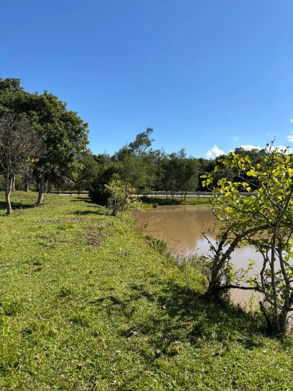 Área de Terra 5he São Gotardo de Vila Seca - Foto 5
