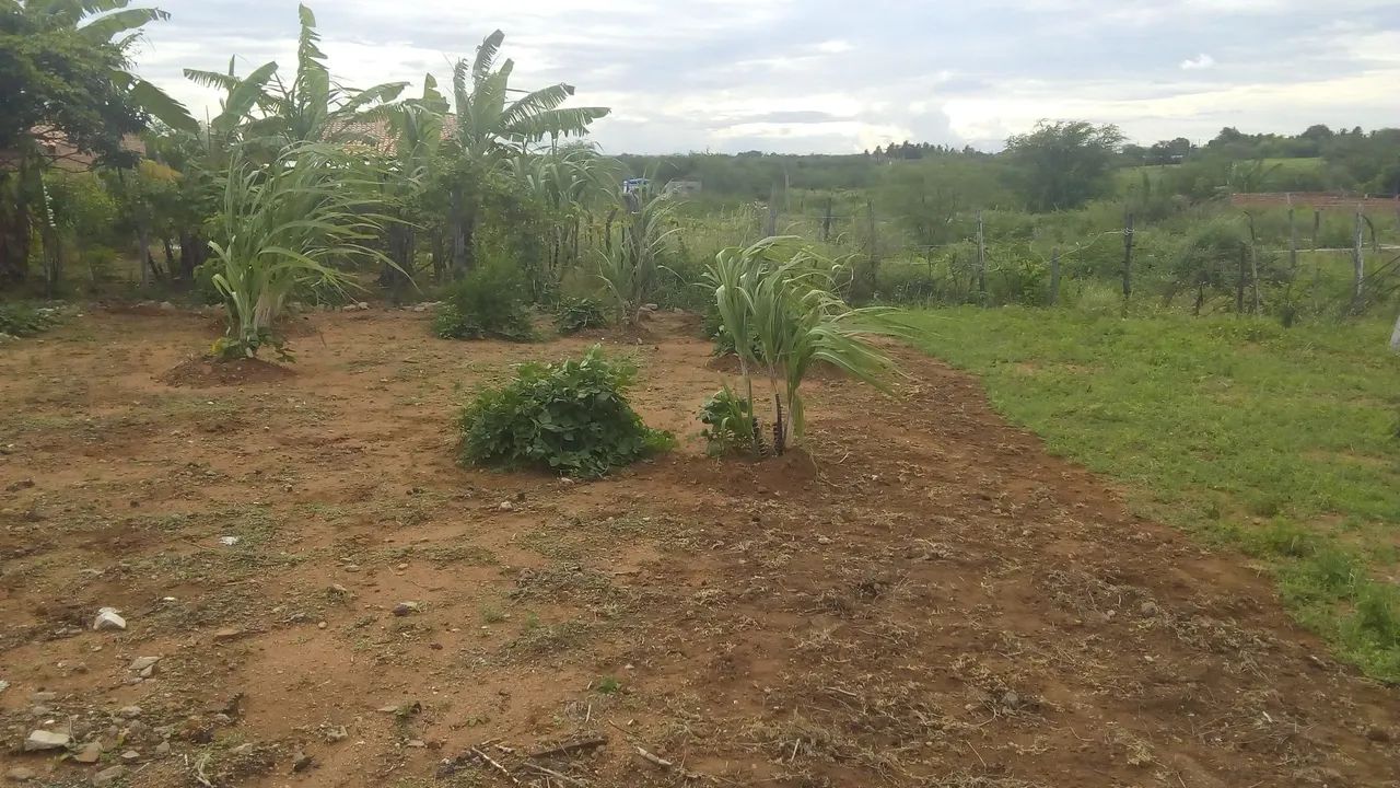 Oportunidade  - Foto 4