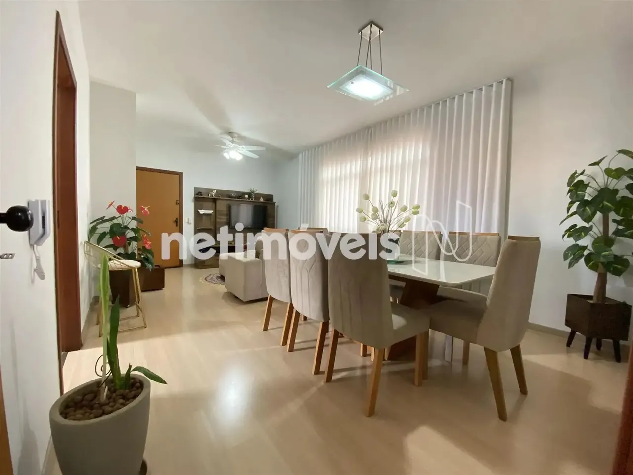 Venda Apartamento 3 quartos Padre Eustáquio Belo Horizonte