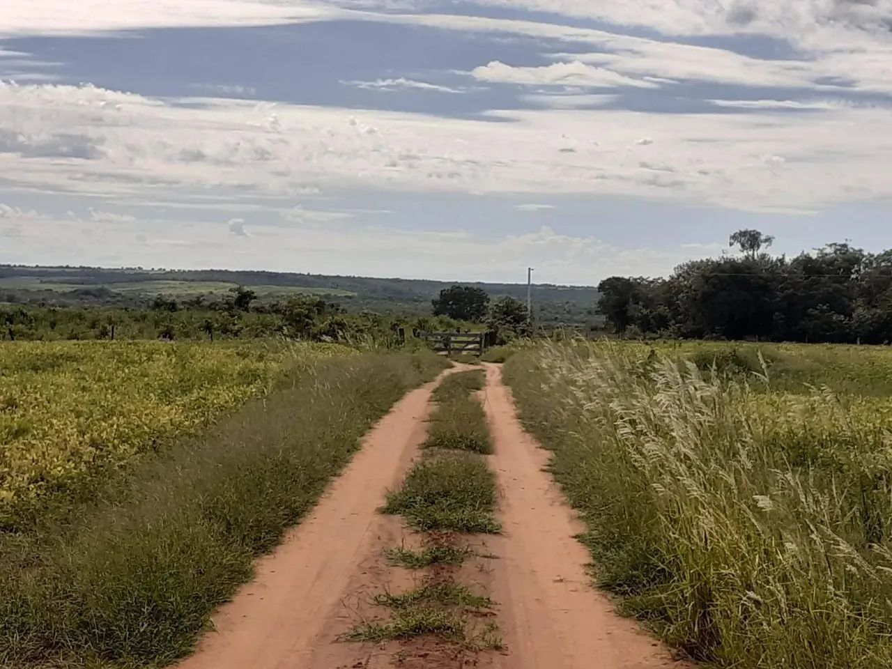 Fazenda em Ribeirão Cascalheira - MT