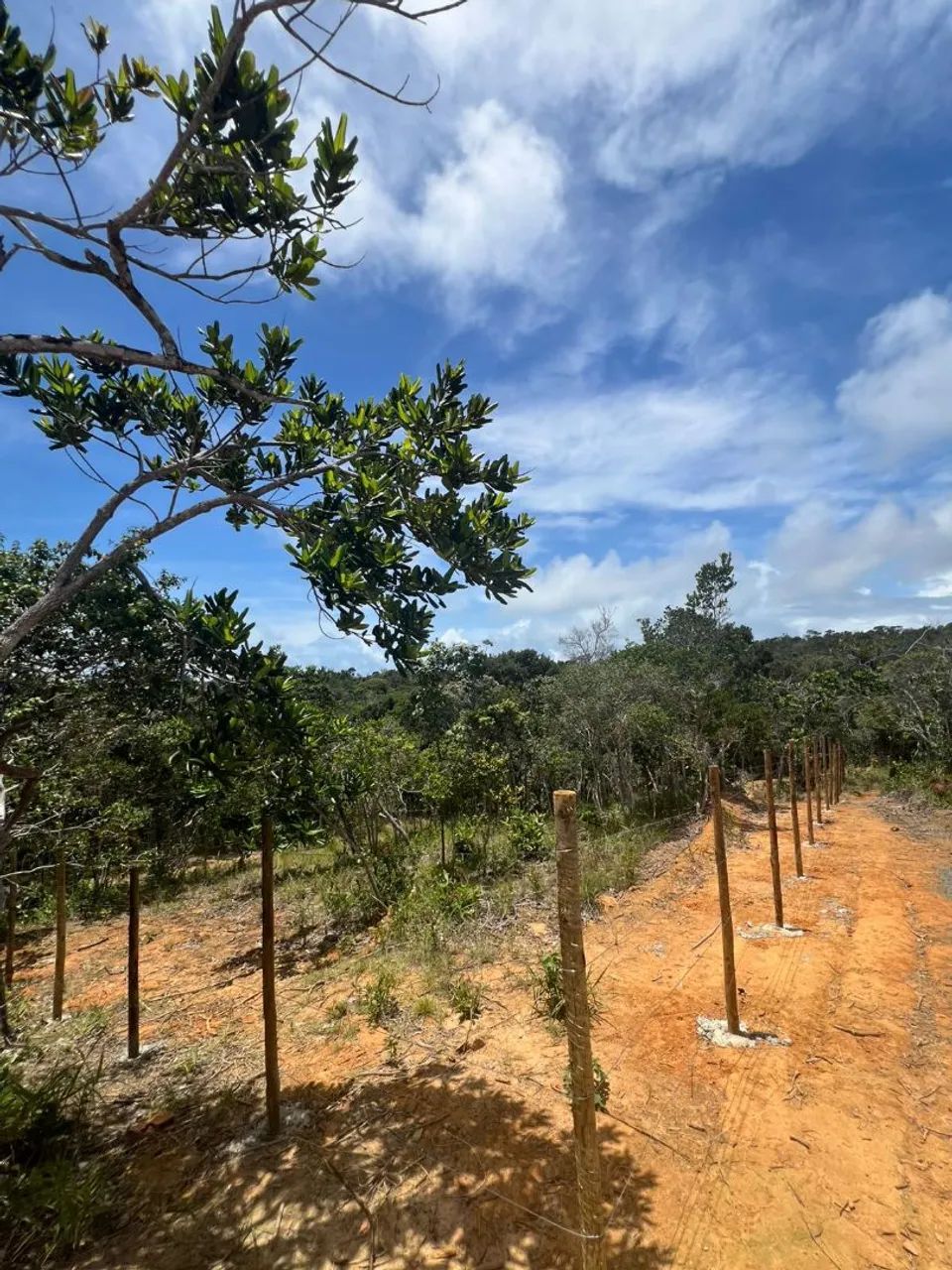 OPORTUNIDADE COMBINAÇÃO PERFEITA TERRENO EM SÍTIO E  PRAIA. APENAS 4KM DISTÂNCIA IMBASSAI, - Foto 9