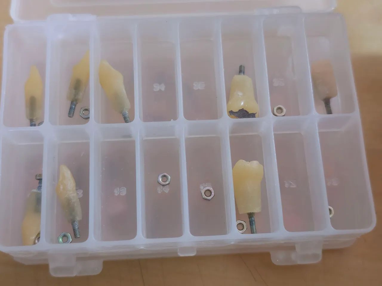 Manequim DENTÍSTICA e PRÓTESE - Foto 6