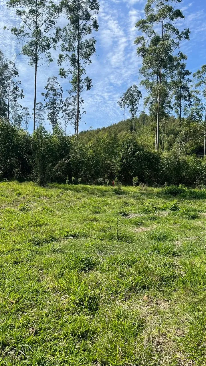 Invista em Figueiras Interior de SP com Grande Potencial de Valorização!