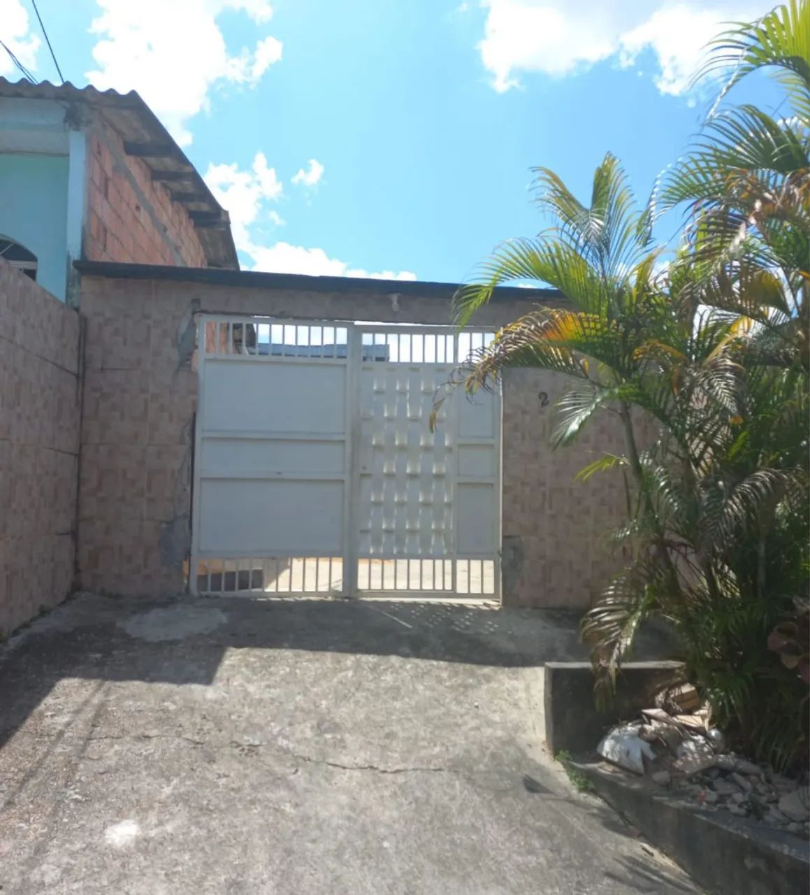 Foto - Manaus - Flores