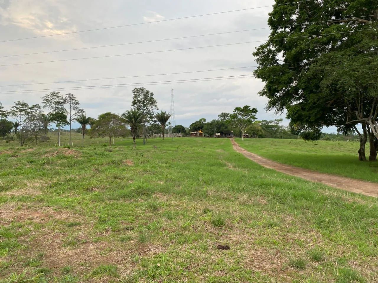 Vende uma terra 50hectares na Br 364  sentido sena madureira na beira do asfalto 