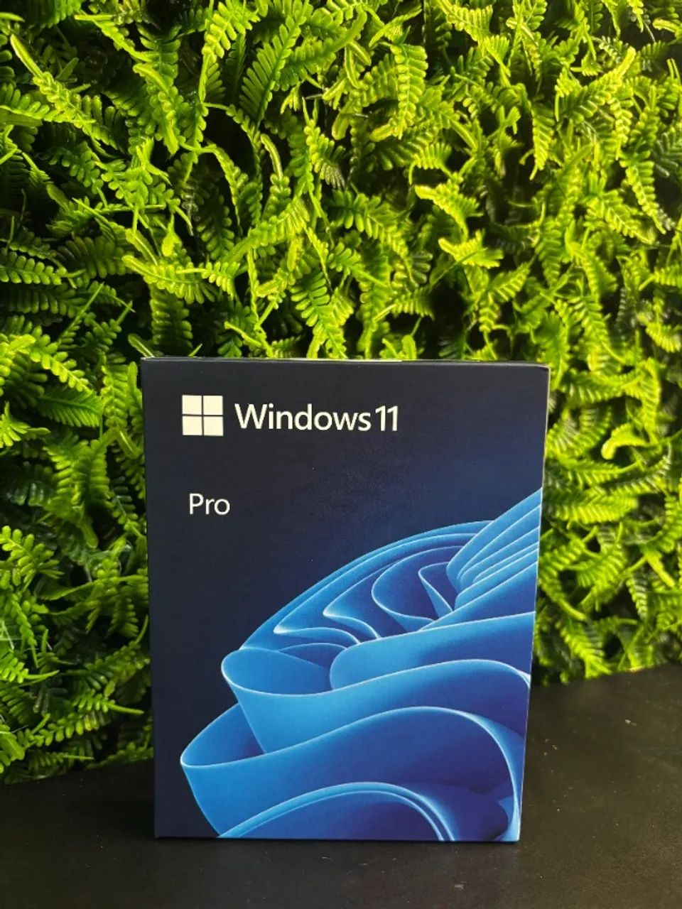 Windows 11 Pro Fpp Caixa Lacrada Com Nf - Periféricos e Acessórios