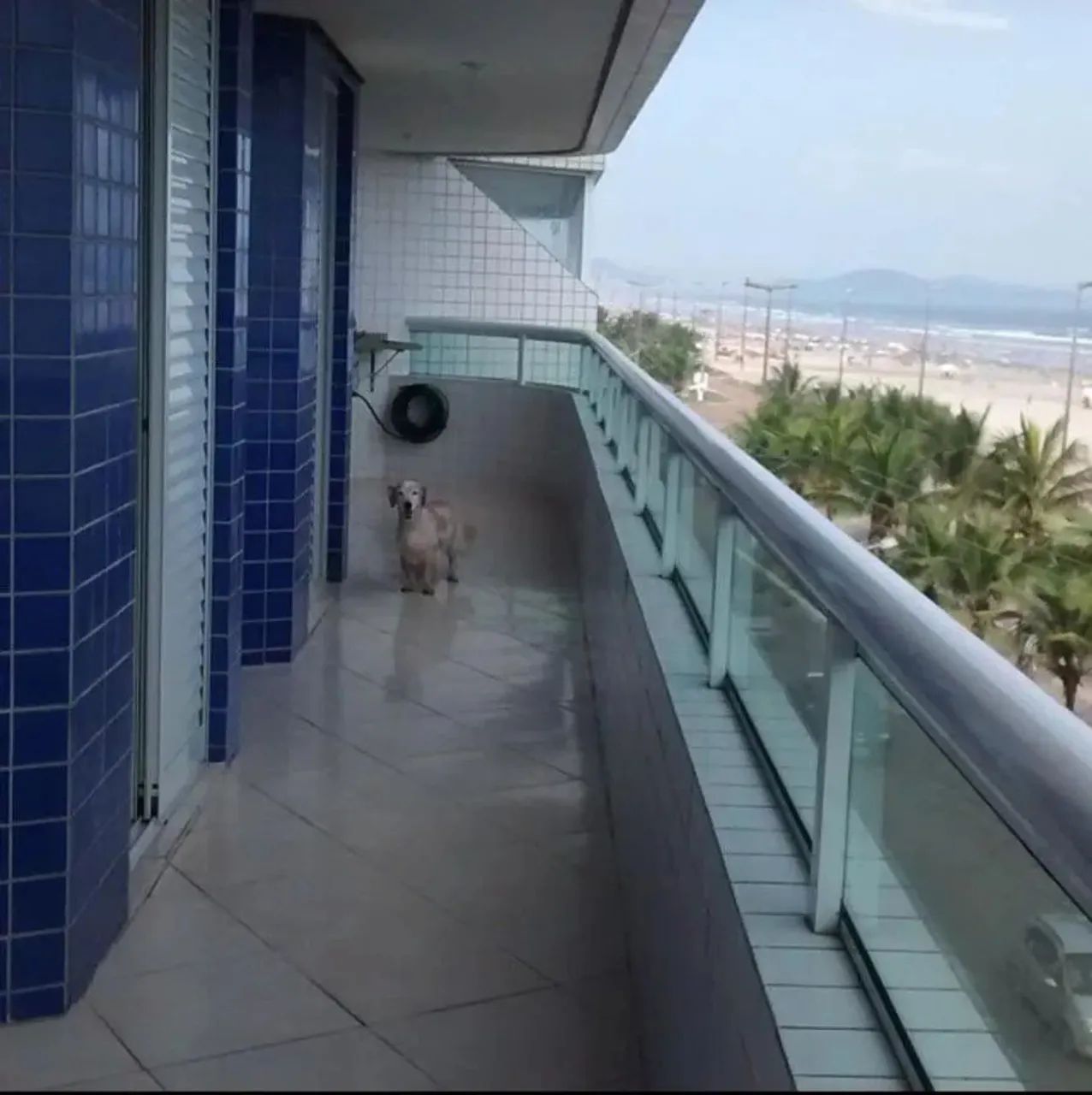 Apartamento para Venda em Praia Grande, Maracanã, 3 dormitórios, 1 suíte, 2 banheiros, 1 v - Foto 3