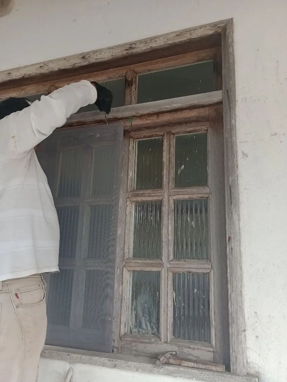 Telas Anti-Insetos bem fechadinhas  - Foto 5