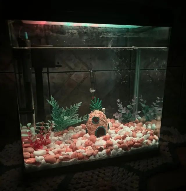  Aquário HP-400 - Foto 4