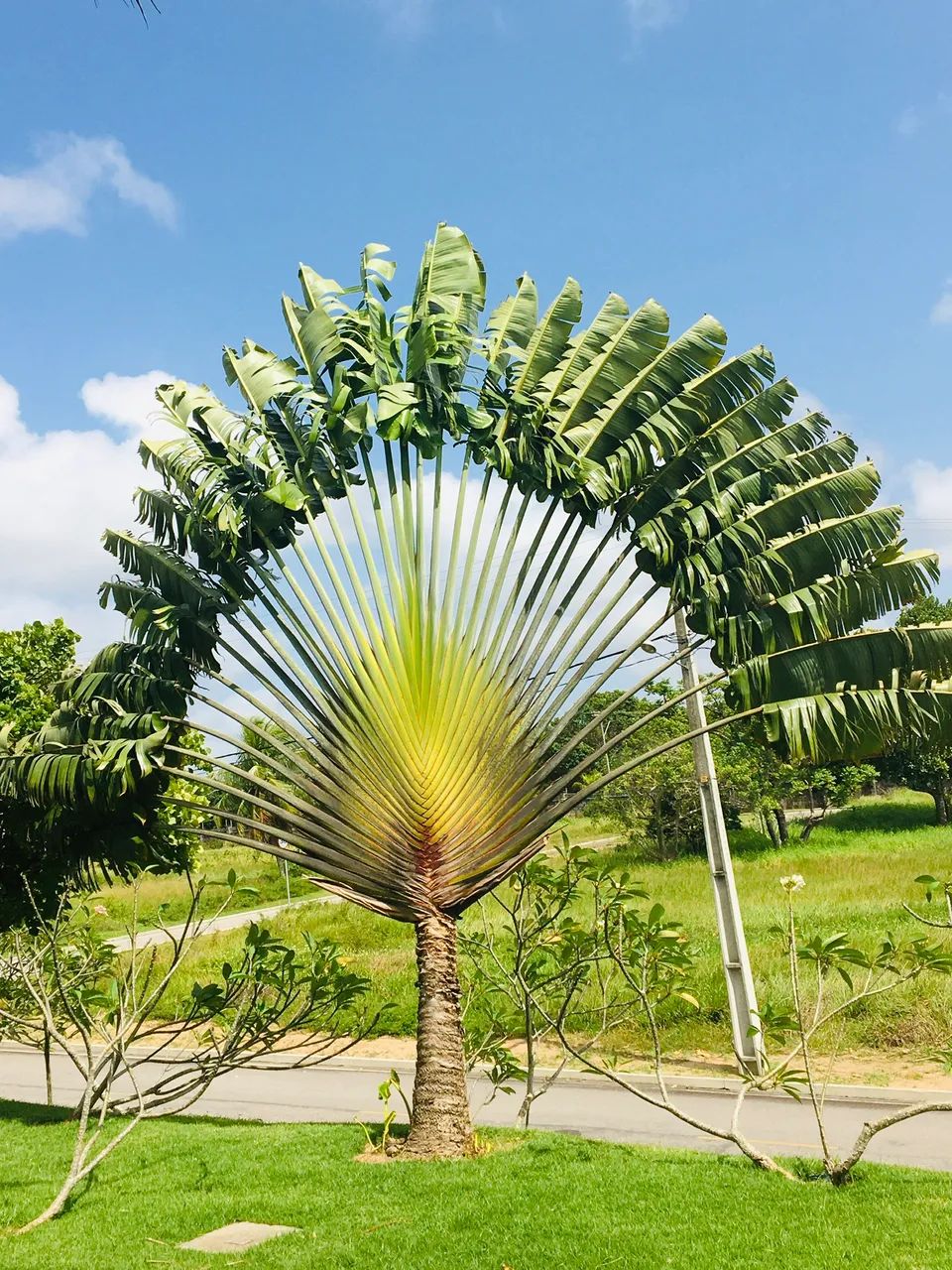 LOTE NO BOSQUE DO COQUEIRAL  LOTES A PARTIR DE 360m² - PIUM