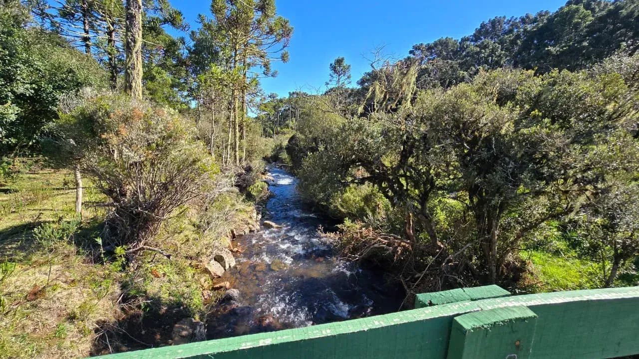 Oportunidade! 3 hectares na serra catarinense ! - Foto 3