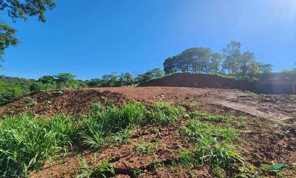 Terreno no Residencial Aldeia do Vale - Foto 4