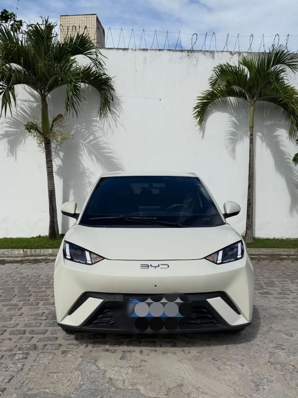 BYD Dolphin Mini (Elétrico) 2025 - Foto 2
