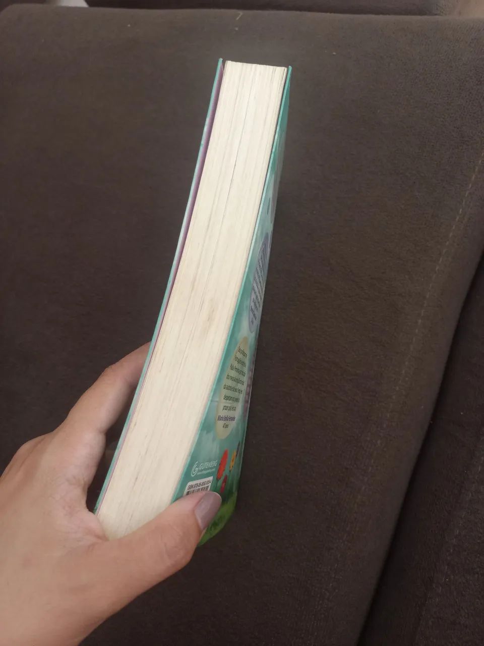 Minha vida fora de série 1 - Foto 2