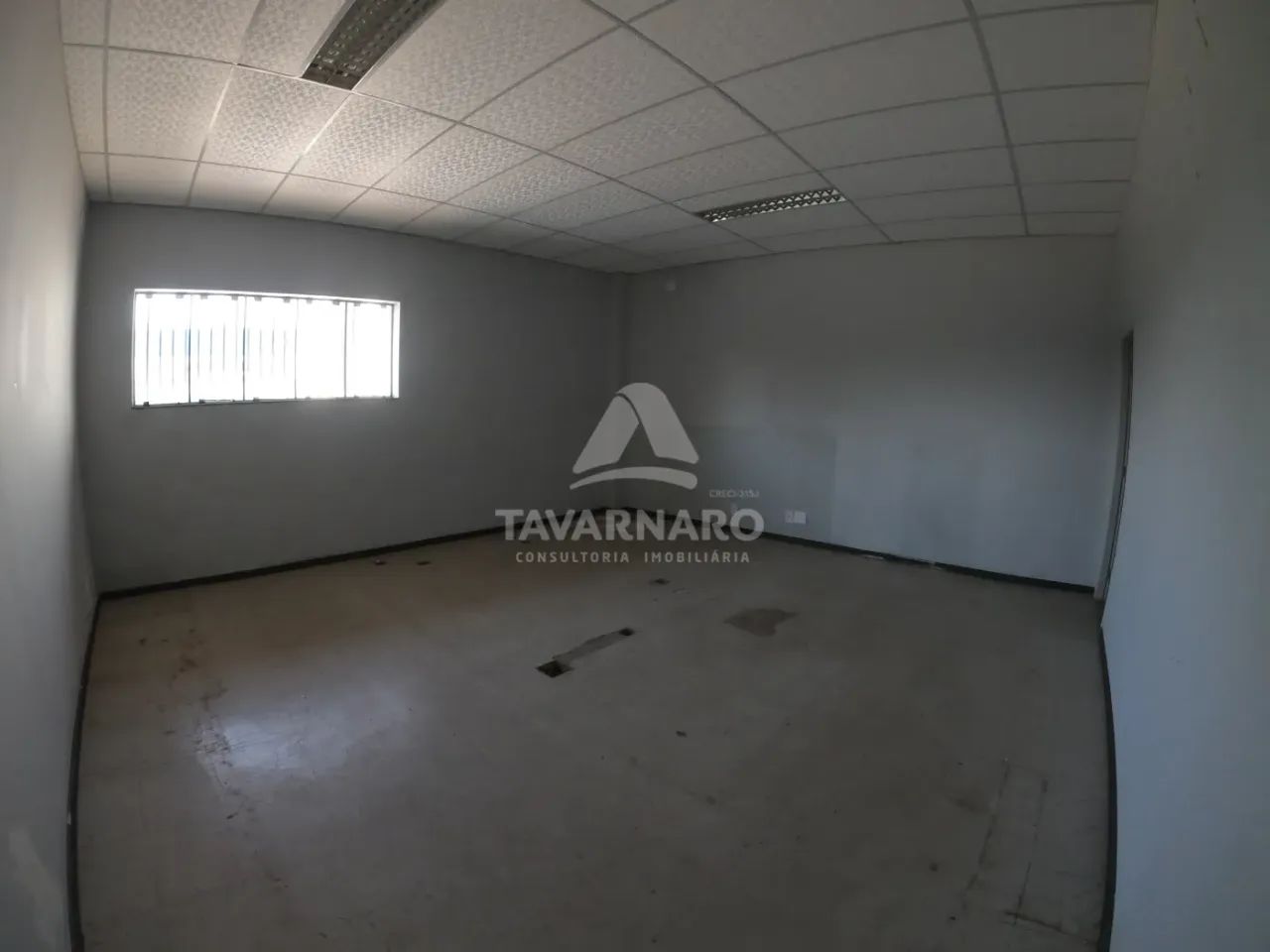 Comercial Loja em Ponta Grossa - Foto 5