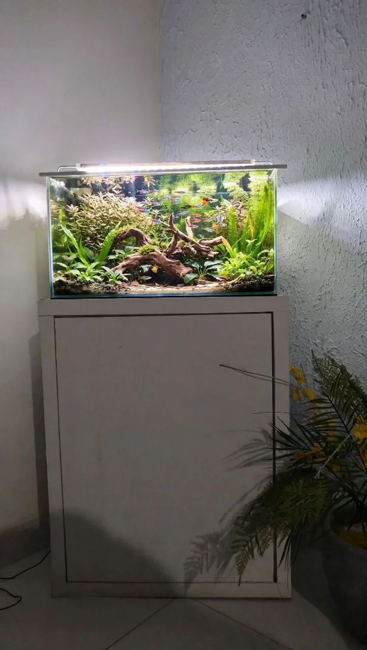 Aquário com acessórios  - Foto 2