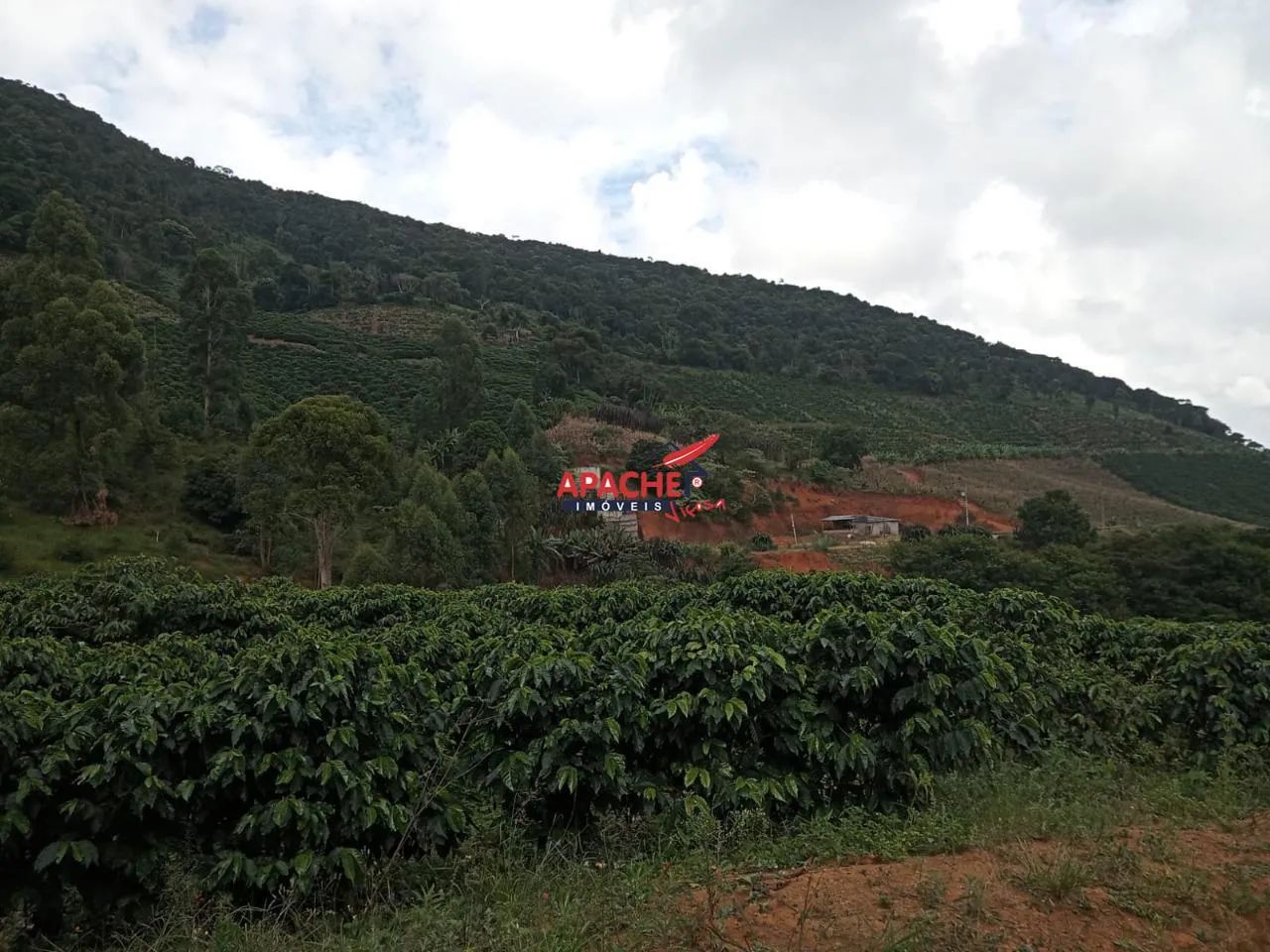 Fazenda - Parque do Brigadeiro - Araponga MG - Foto 3