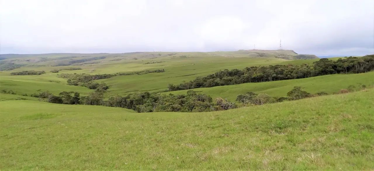 Portal da Boa Vista- Serra Catarinense - Foto 5
