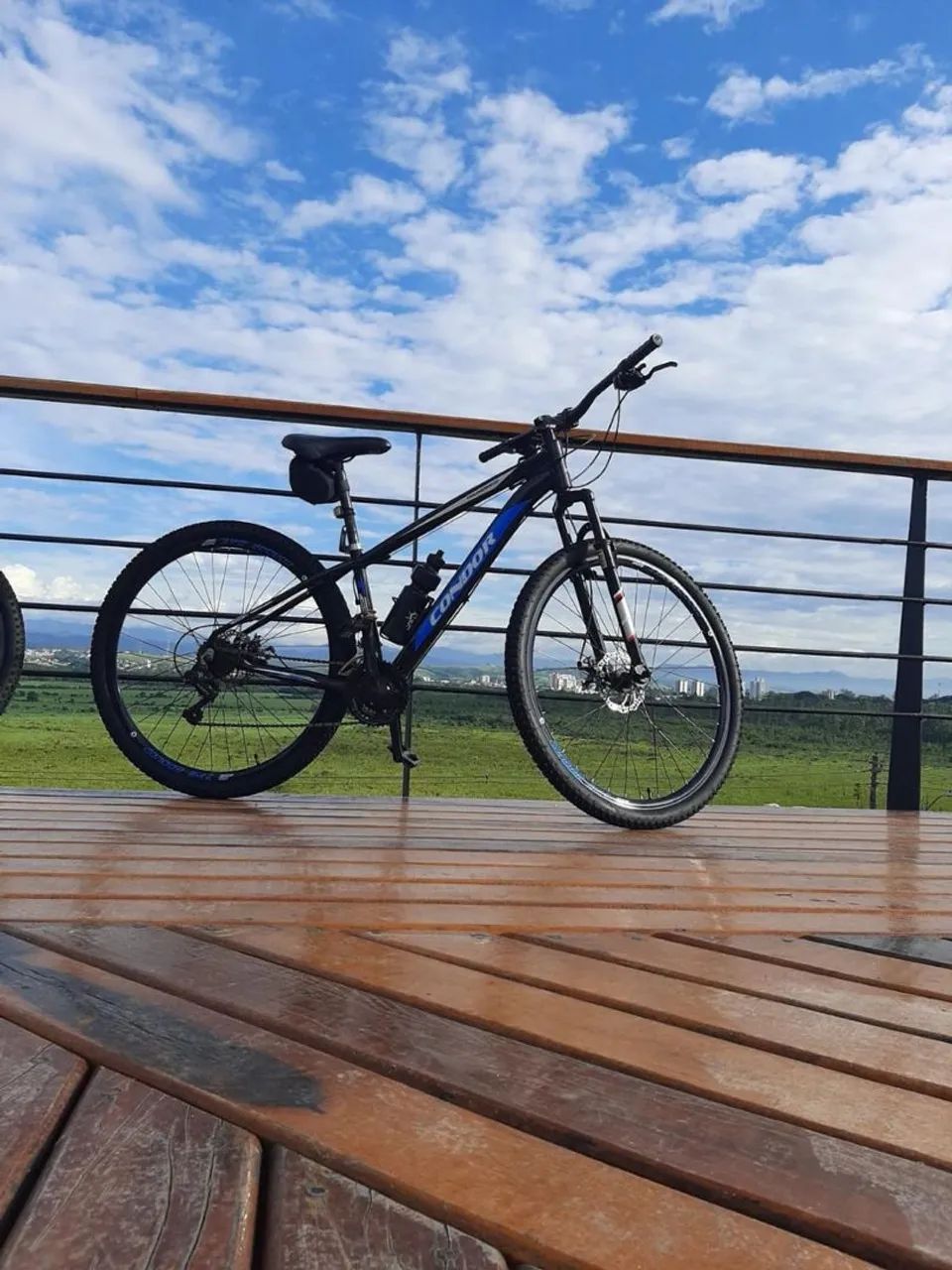 Bicicleta 