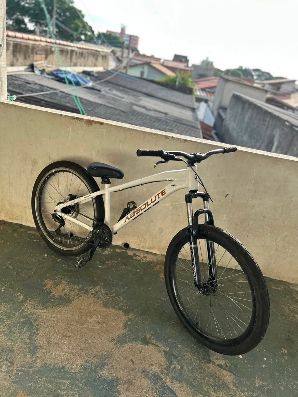 Brutus pro 