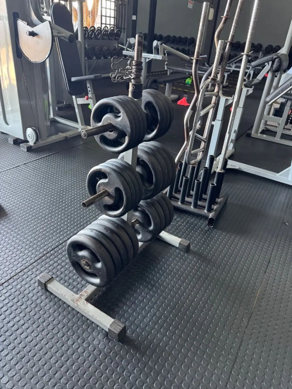 Academia - Foto 3